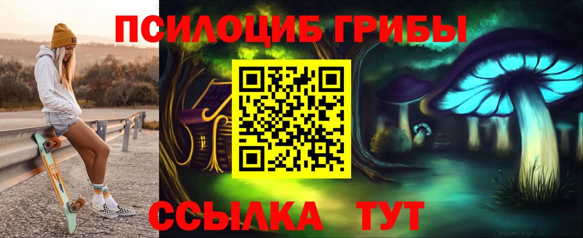 Псилоцибиновые грибы ЛСД  Вход с VPN  закладки  Железногорск 